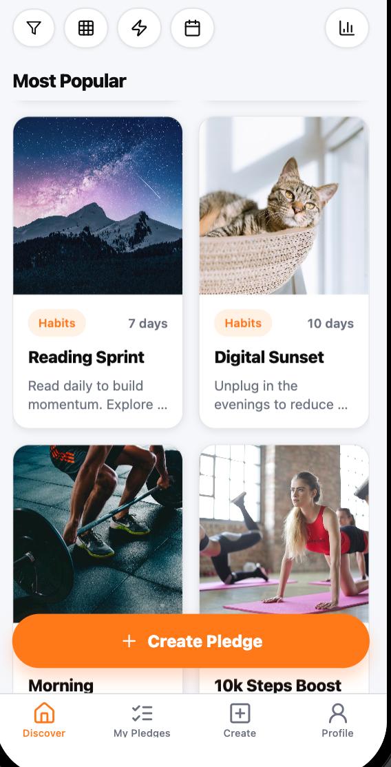 Pledge App Screenshot